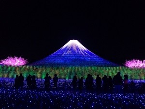 なばなの里　イルミネーション