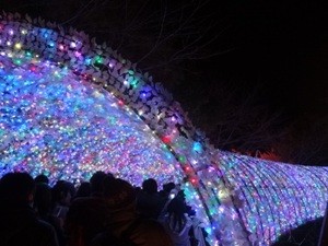 なばなの里　イルミネーション