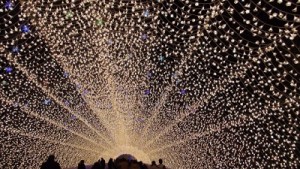 なばなの里　イルミネーション