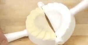 100均 かんたん餃子