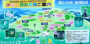 伊吹山　山登り