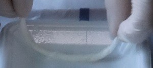 家事えもんがカビ取り剤をキッチンペーパーに