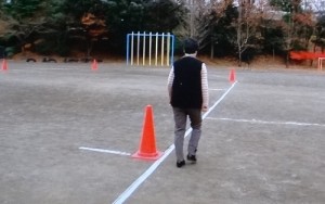 ６分間歩行テスト