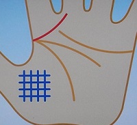 成り上がり腺とイケイケ線