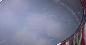 寄せ鍋の作り方