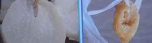 凍み大根