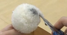 シロクマのぽんぽん