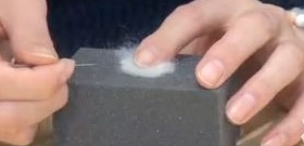 シロクマのぽんぽん