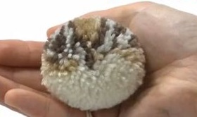 リスのポンポン