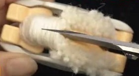 リスのポンポン