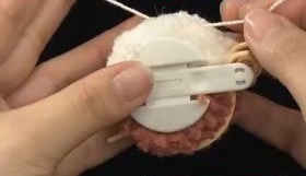 リスのポンポン