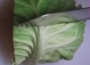 キャベツの切り方