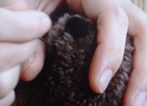 動物ぽんぽん　くまの口