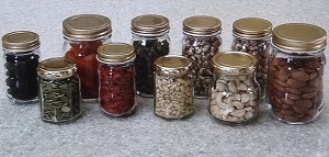 ドライフルーツ