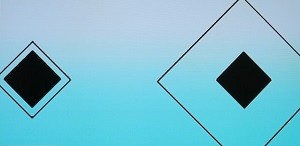 目の錯覚の“錯視”