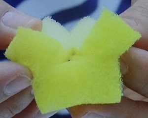 水耕栽培のスポンジ