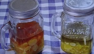 ニンニクのオイル漬け