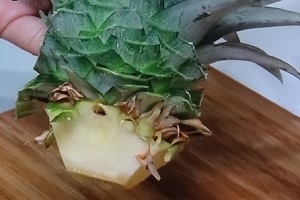 パイナップルのイエナカ菜園