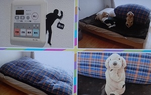 ジャルジャル福徳の部屋