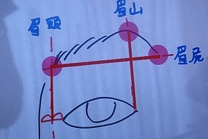 メイクの眉の形の黄金比