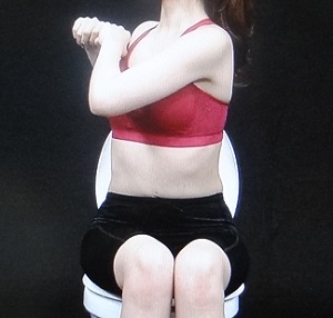 便座エクササイズ