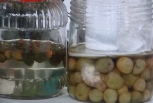 梅シロップと カリカリ梅