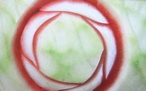 フルーツカービングのスイカ