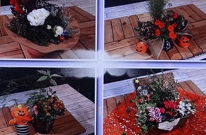 寄せ植え