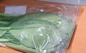 野菜の保存