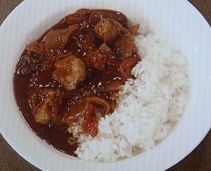 ごごナマ 水野式おいしいカレーのレシピ 水野仁輔 生活の泉