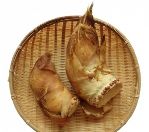 青空レストラン：白子筍（たけのこ）の通販・お取り寄せ！京都辻農園