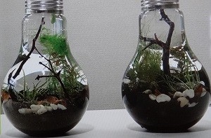 グラスアクアリウム