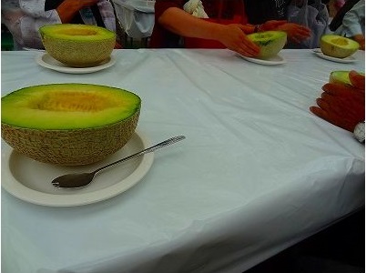 メロン狩り