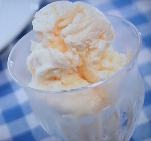 【スイッチ】3分でアイスクリーム作りのレシピ！おいしい自由研究