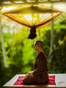 【マツコの知らない世界】瞑想マスター相川圭子が極意を伝授！マインド・スパ