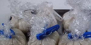 食パンで肉まん