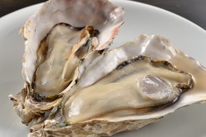 【青空レストラン】牡蠣「ひがた美人」かきのオリーブオイル漬け＆かきめしの素のお取り寄せ！