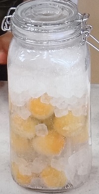 生梅の炭酸シロップ