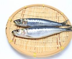 笑ってコラえて の記事一覧