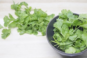 パクチ―、香菜