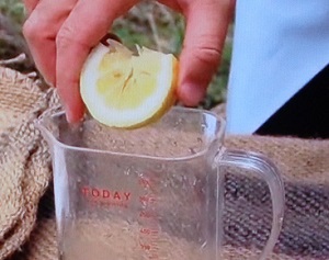 レモンの正しい切り方