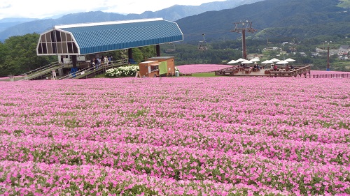ひるがのピクニックガーデン