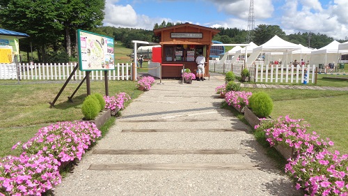 ひるがのピクニックガーデンのリフトへ