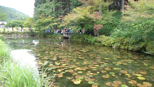 モネの池