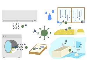有吉ゼミ エアコン掃除：カビブロックバイオ酵素フィルター＆網戸洗いタワシのお取り寄せ！