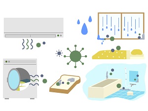 【シューイチ】「カビダッシュ特濃ストロングジェル」のお取り寄せ！カビ汚れ落としに