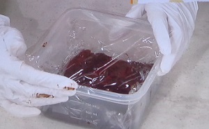 クリスマスチョコケーキ