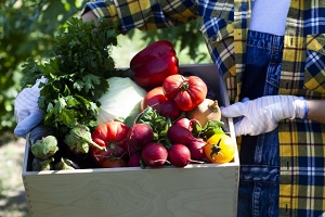 【人生の楽園】農園「レスタウロ テラ」の野菜のお取り寄せ！元シェフの完熟野菜〜山梨・北杜市