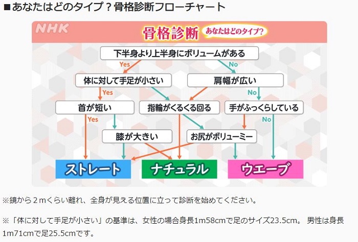 骨格診断のタイプ