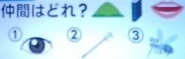 2025年12月19日脳シャキクイズ
